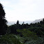 More cool views