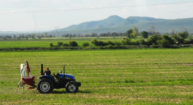 [tractor[5].jpg]