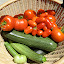 First tomatoes of the Season