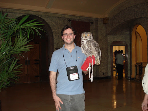 owl