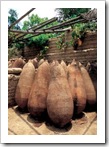 Botijas de arcilla o Piskos