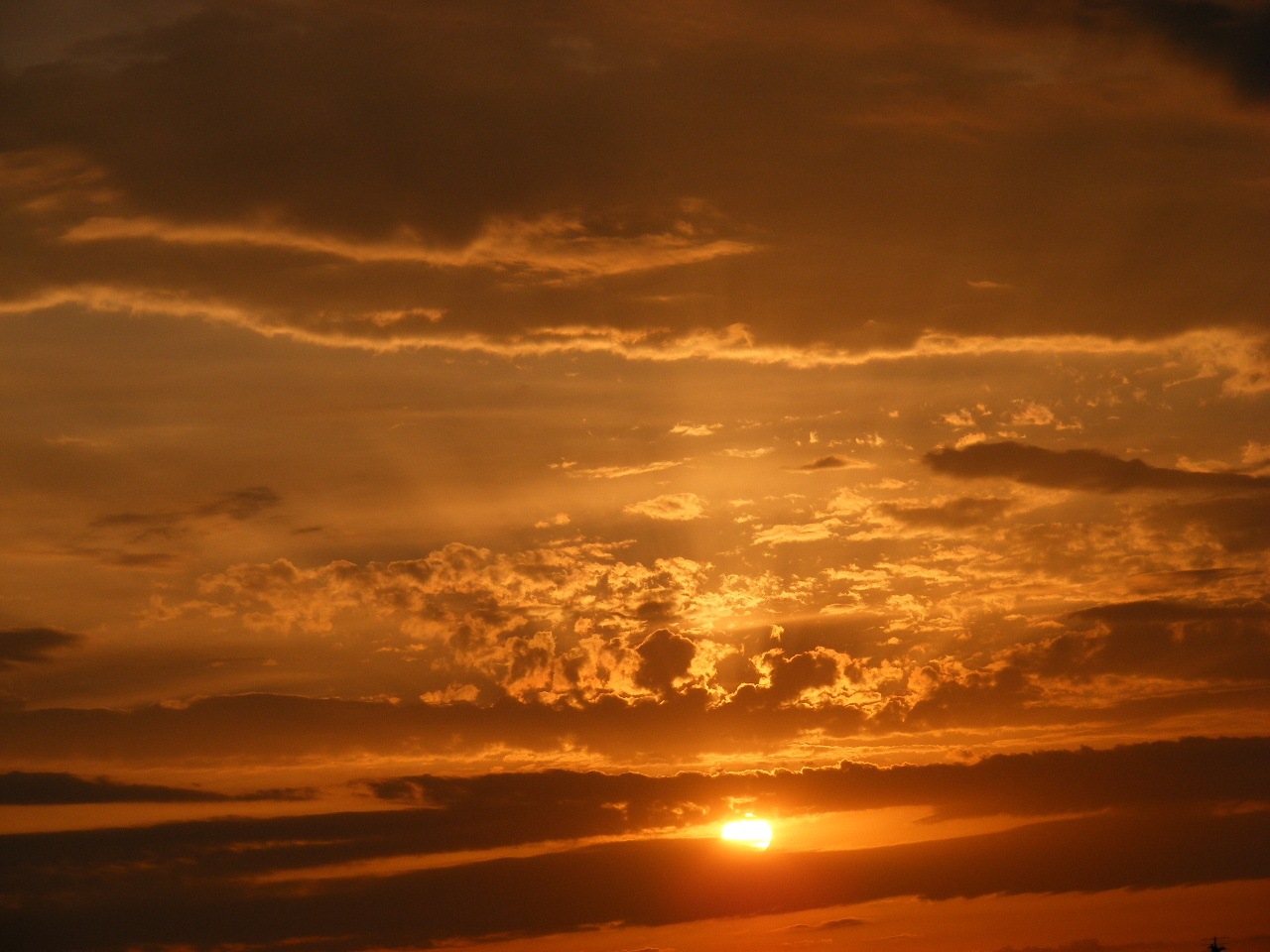 [2008_07250028[4].jpg]