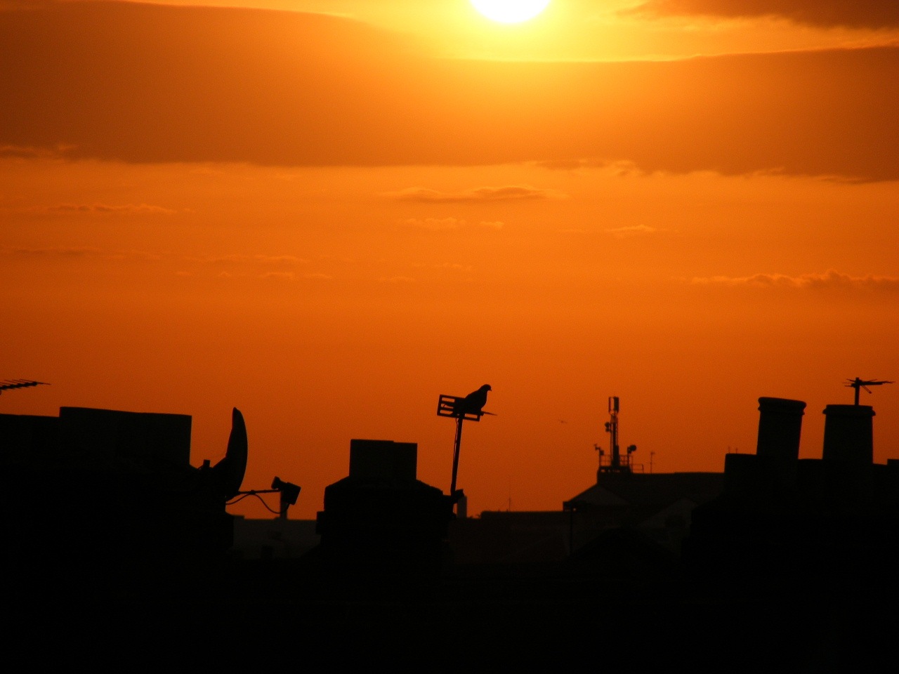 [2008_07250036[4].jpg]