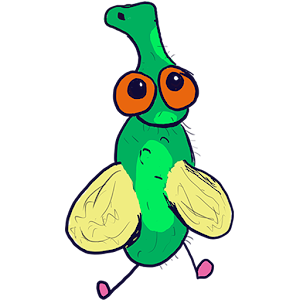 Fly Before You Die.apk 1.2