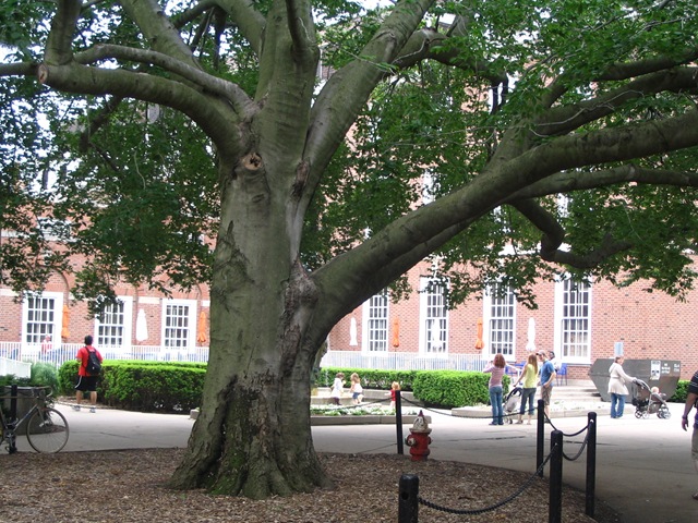 [2008_05_26_7299[2].jpg]
