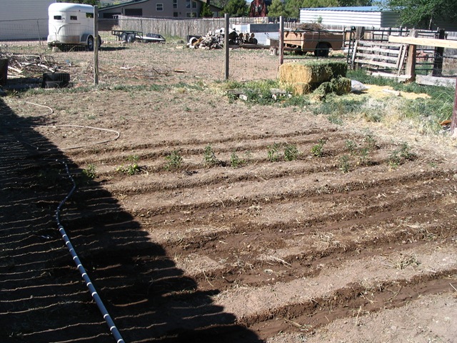 [2008_06_14 002[5].jpg]