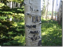 2008_07_19 012