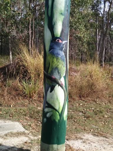 Australian Fig Bird Mural