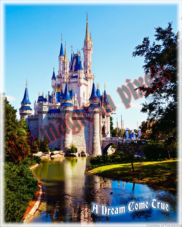 [castle-ver3[6].jpg]