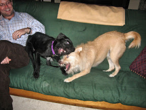 Charlie and Max at play