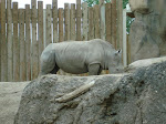 DSC00241.JPG