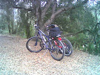 Two Bikes Lost