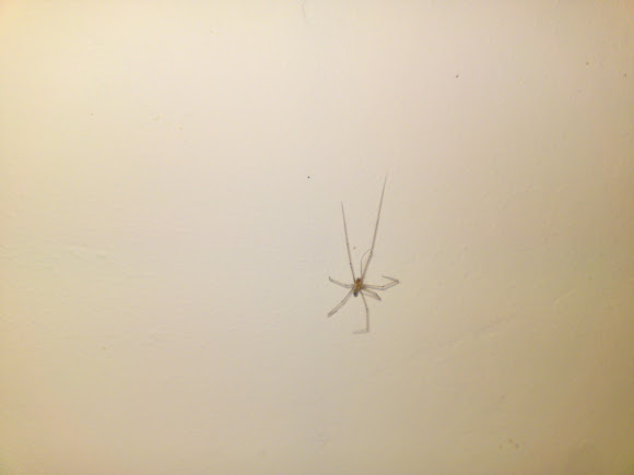 Spotting Image 1