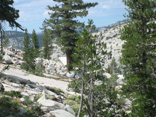 [IMG_151910.jpg]