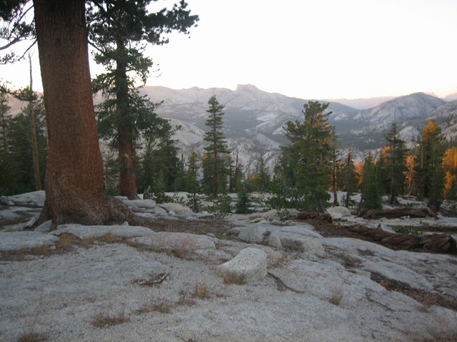 [IMG_15376.jpg]