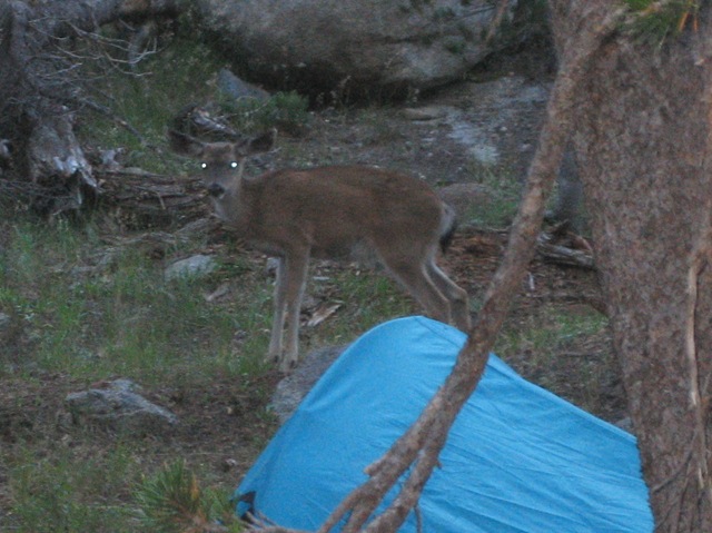 [IMG_153015.jpg]