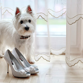 by Donatas Zasciurinskas - Wedding Details