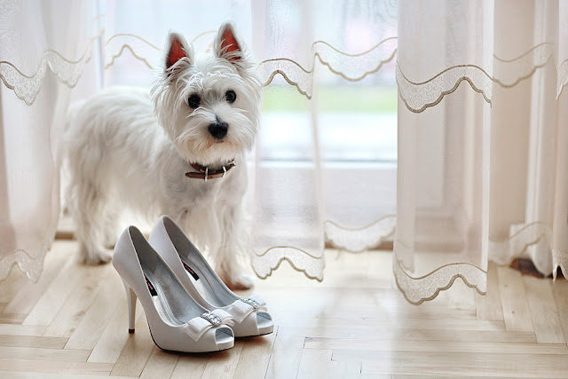 by Donatas Zasciurinskas - Wedding Details Photos on Pixoto