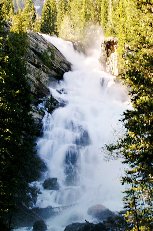 [DSC_6017[2].jpg]