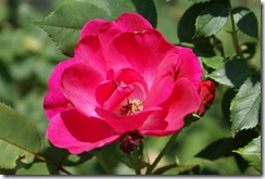 033