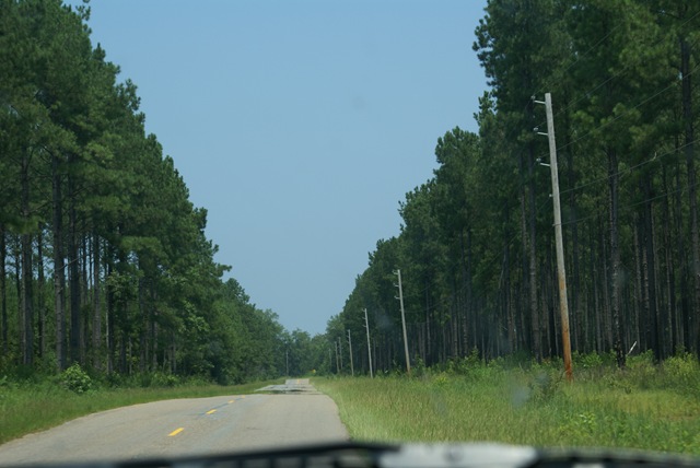[Houston Adventures 065[2].jpg]