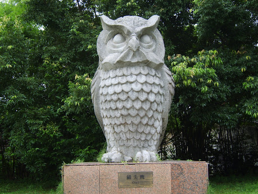 猫头鹰