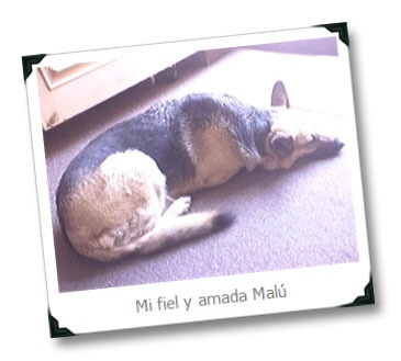 Mi fiel y amada Malucita