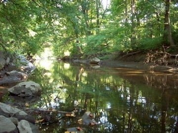 [n23102508_33496099_2946[3].jpg]