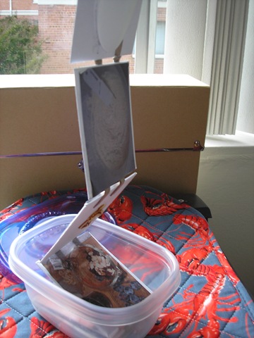 [9.28.08 050[4].jpg]