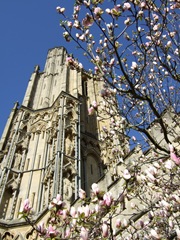 2008-03-22 15-07-33_0162