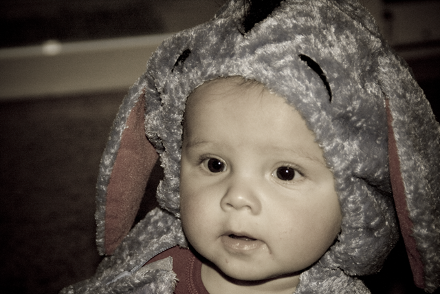 [Levi1058-58-Edit[1].png]