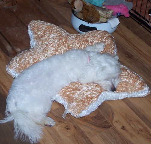 [worn out[2].jpg]