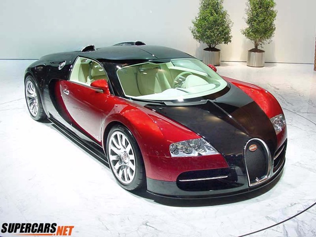 [bugatti-veyron-big[2].jpg]