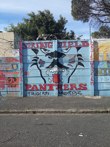 Springfield Panthers Mural