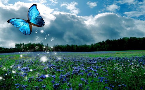 How to download 3D Butterfly 1.2 unlimited apk for pc