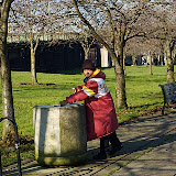 _DSC0184.NEF