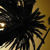 _DSC0017.NEF _DSC0017.NEF