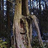 _DSC0115.NEF