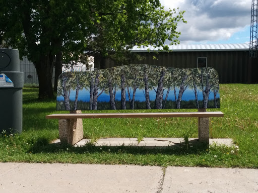Forest For The Trees Bench