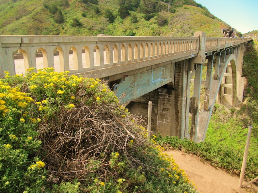 by Regan Fischer - Buildings & Architecture Bridges & Suspended Structures