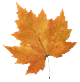 [autumn_leaf_brown[12].gif]