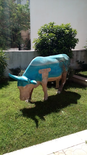 Γαλάζια Αγελάδα