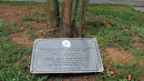 Plaque Commemorative Tree Planting