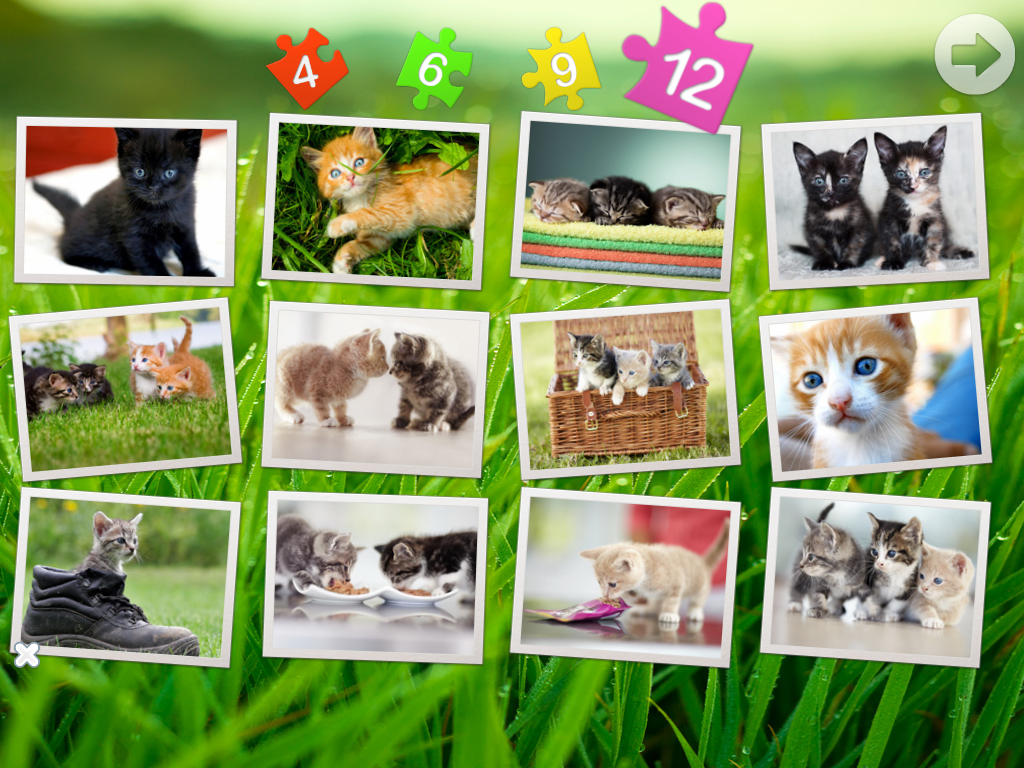 Android application Cats puzzle screenshort