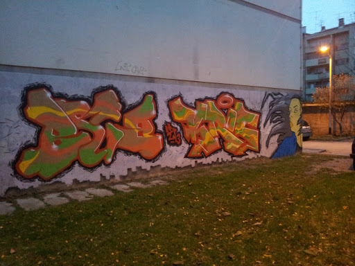 Pavlekica Graffiti