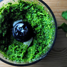 Cilantro Pesto