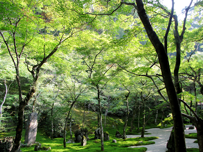 How to mod Meditation Class patch 1.0 apk for bluestacks