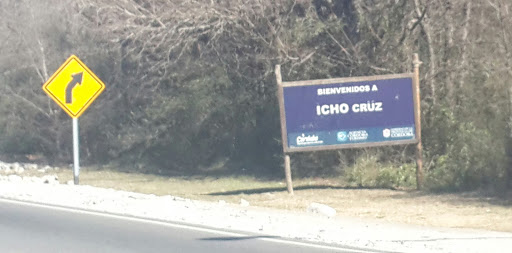 Icho Cruz