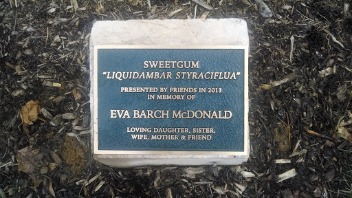 Eva Barch McDonald Memorial Sweetgum