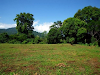 Vendo Terrenos En La Acequia De 15X35 Barinas